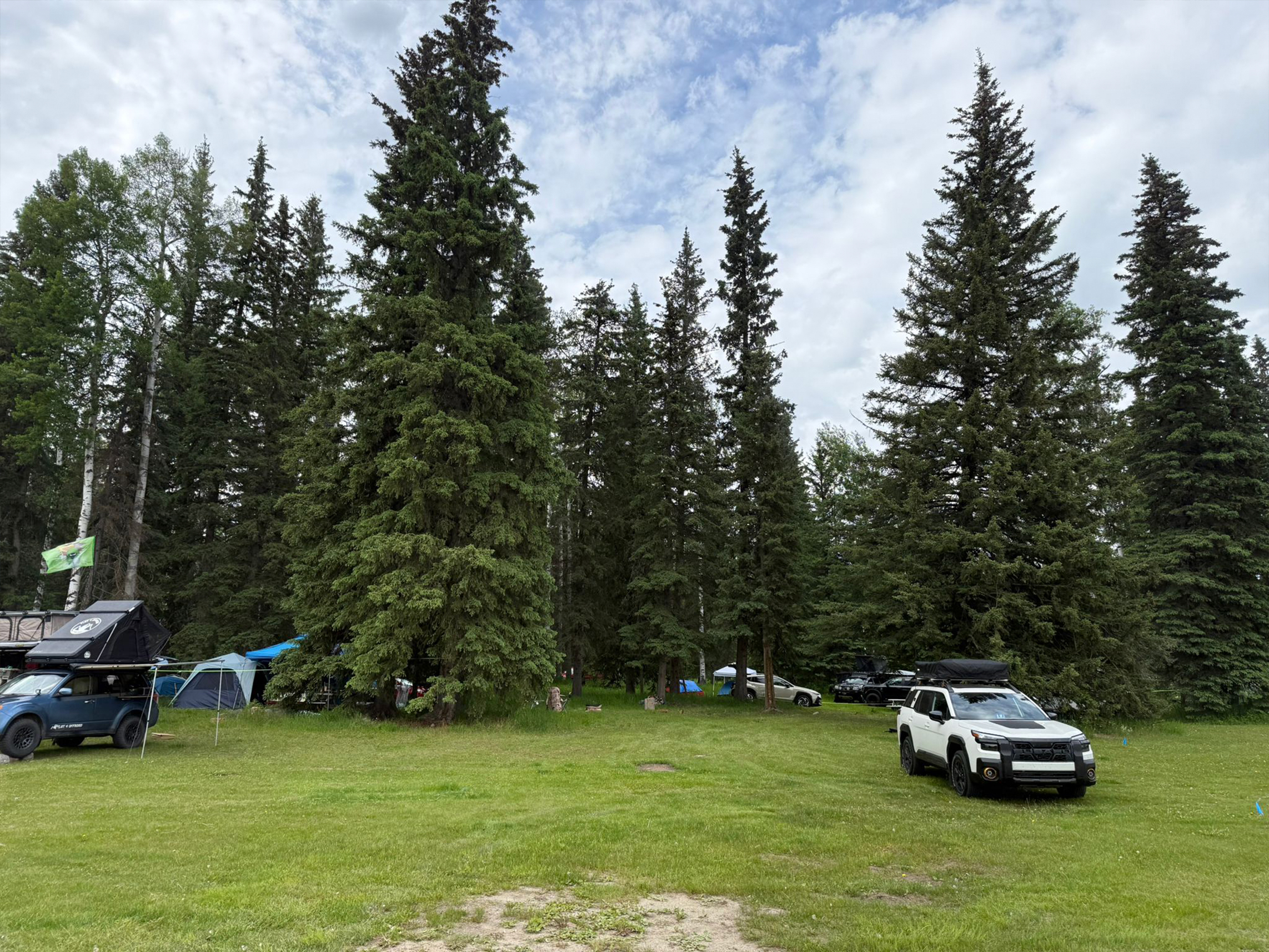 The Site